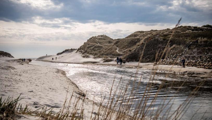 Udsigt over Henne Mølle Å