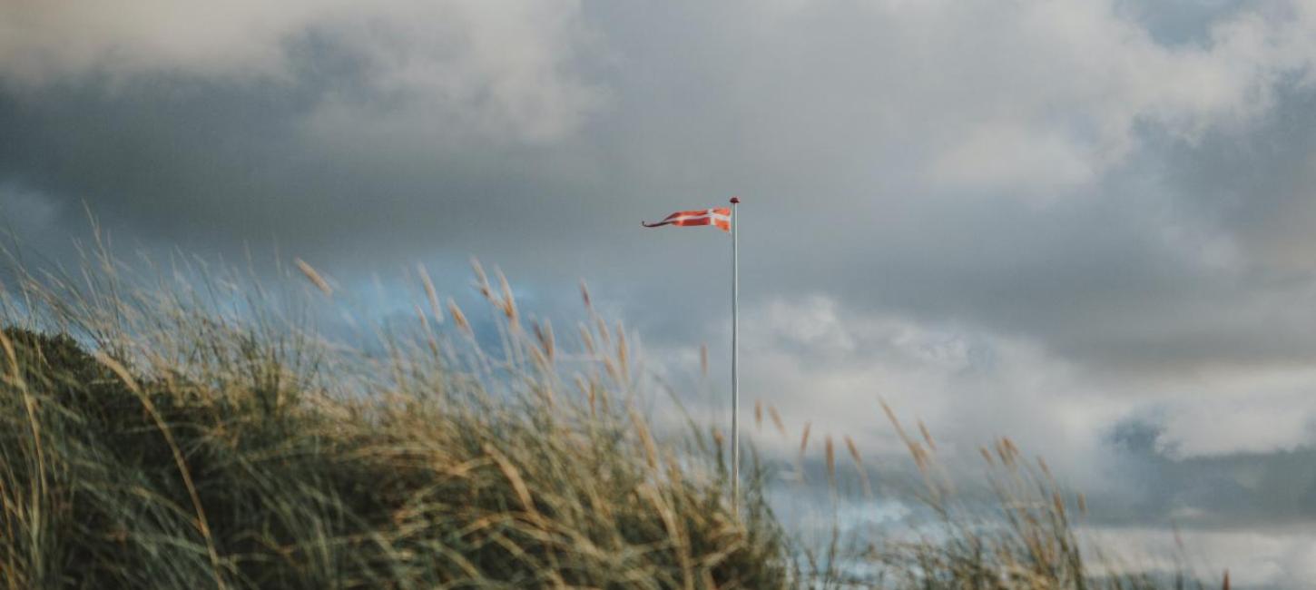 Flag - klitter - sommerhus område