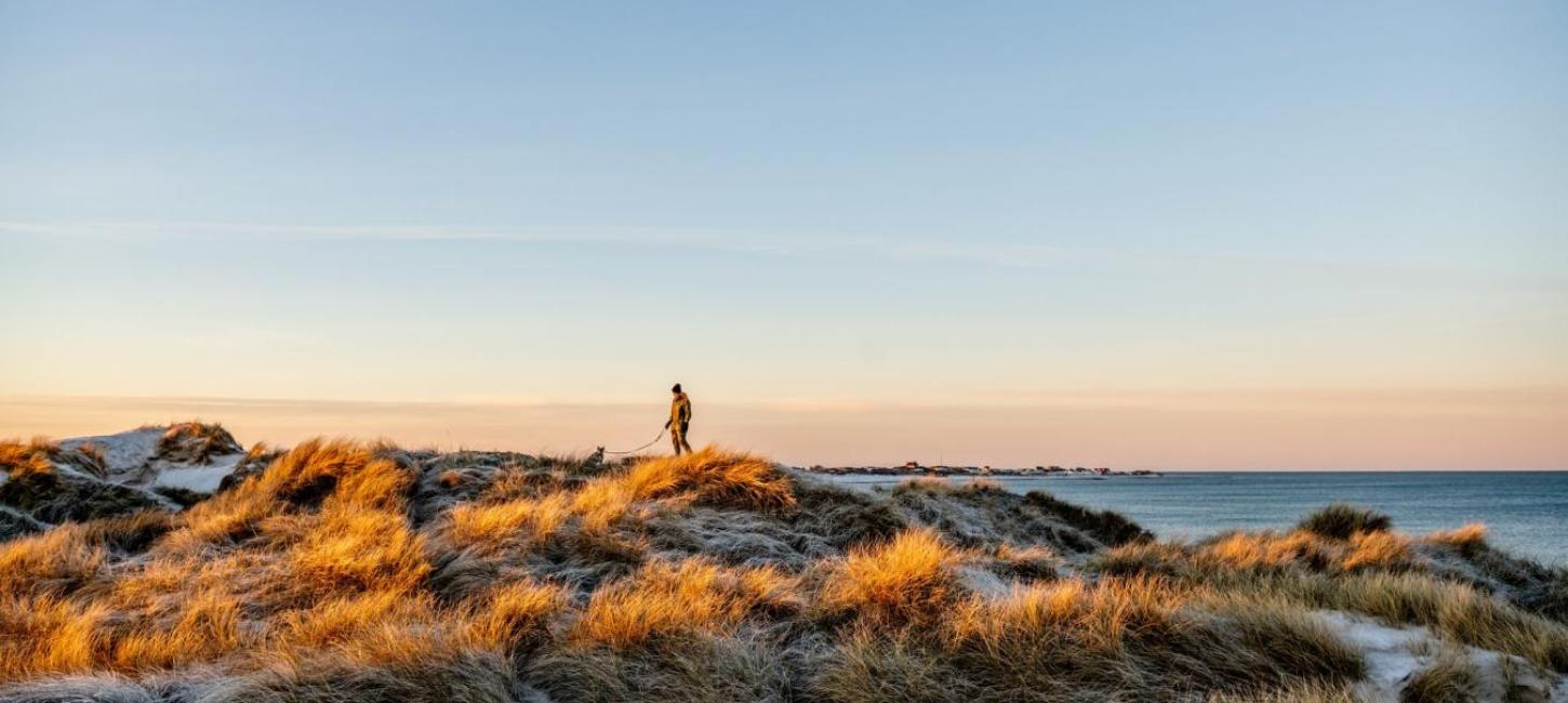 Vandretur i klitterne ved Vesterhavet