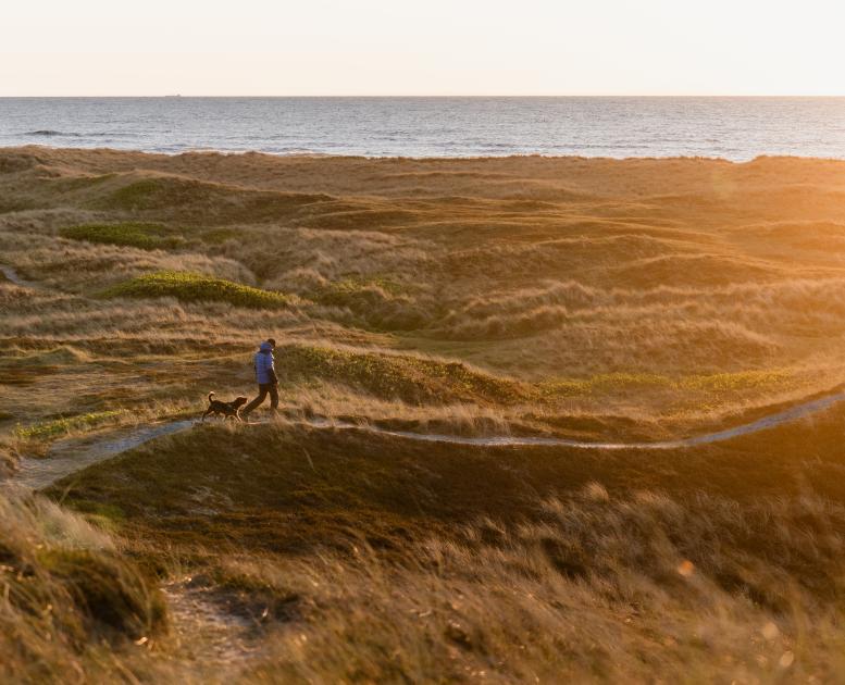 Vesterhavet gå tur med hund